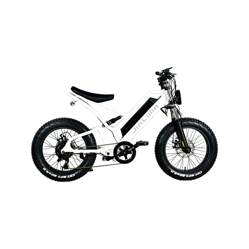 Wat zijn de belangrijkste soorten e-bikes die op de markt beschikbaar zijn?