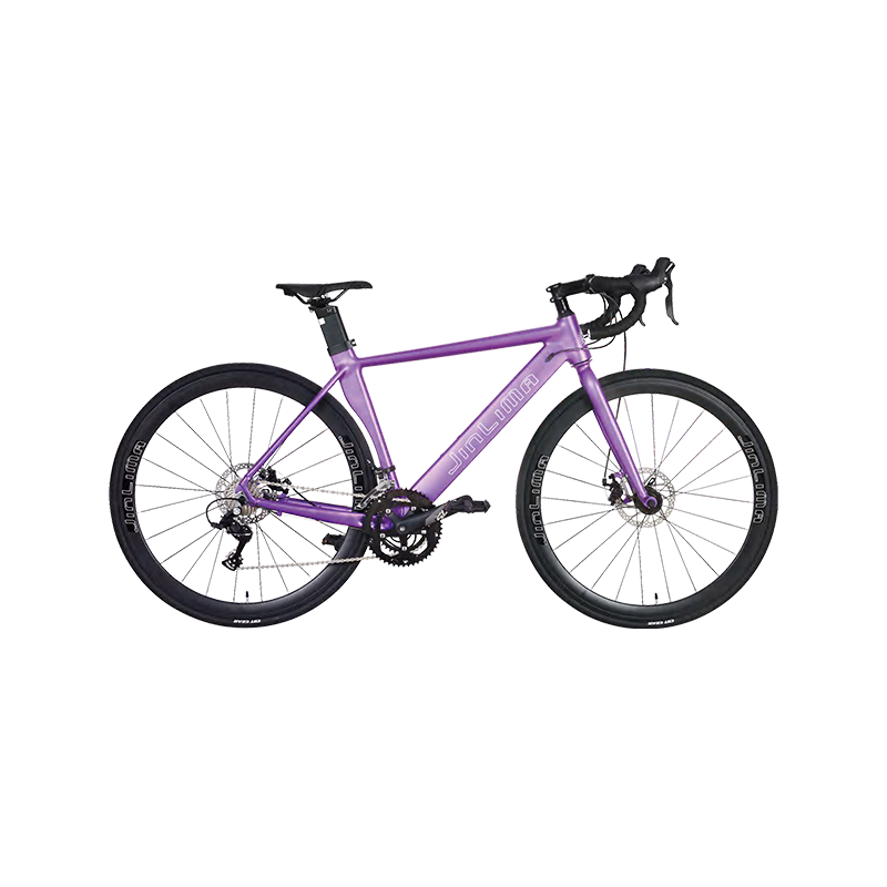 HYB-023 700C 16-versnellingsbak paarse aerodynamische wegfiets