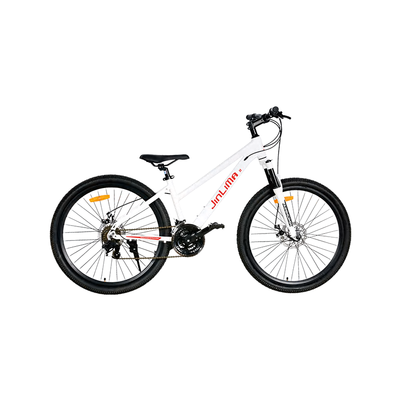 De 26-inch fiets: een evenwichtige keuze voor veelzijdig rijden