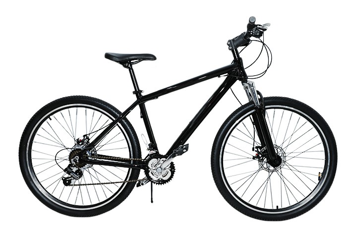 Public Electric Bike Leverancier introduceert vaardigheden voor fietsonderhoud