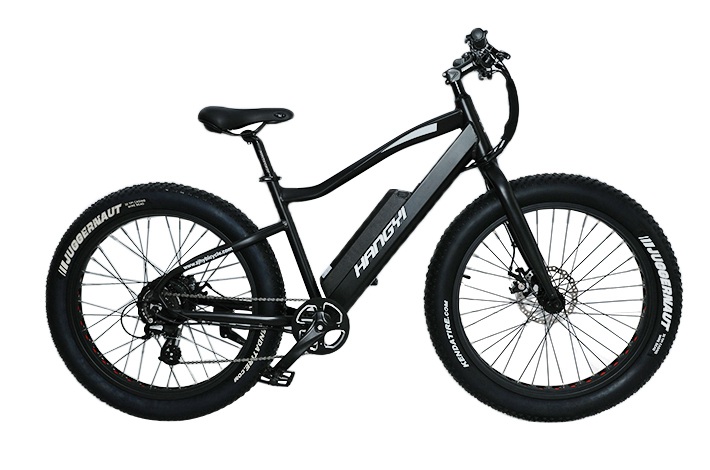 Portable Folding Electric Bike Manufacturer introduceert het gebruik van remmen